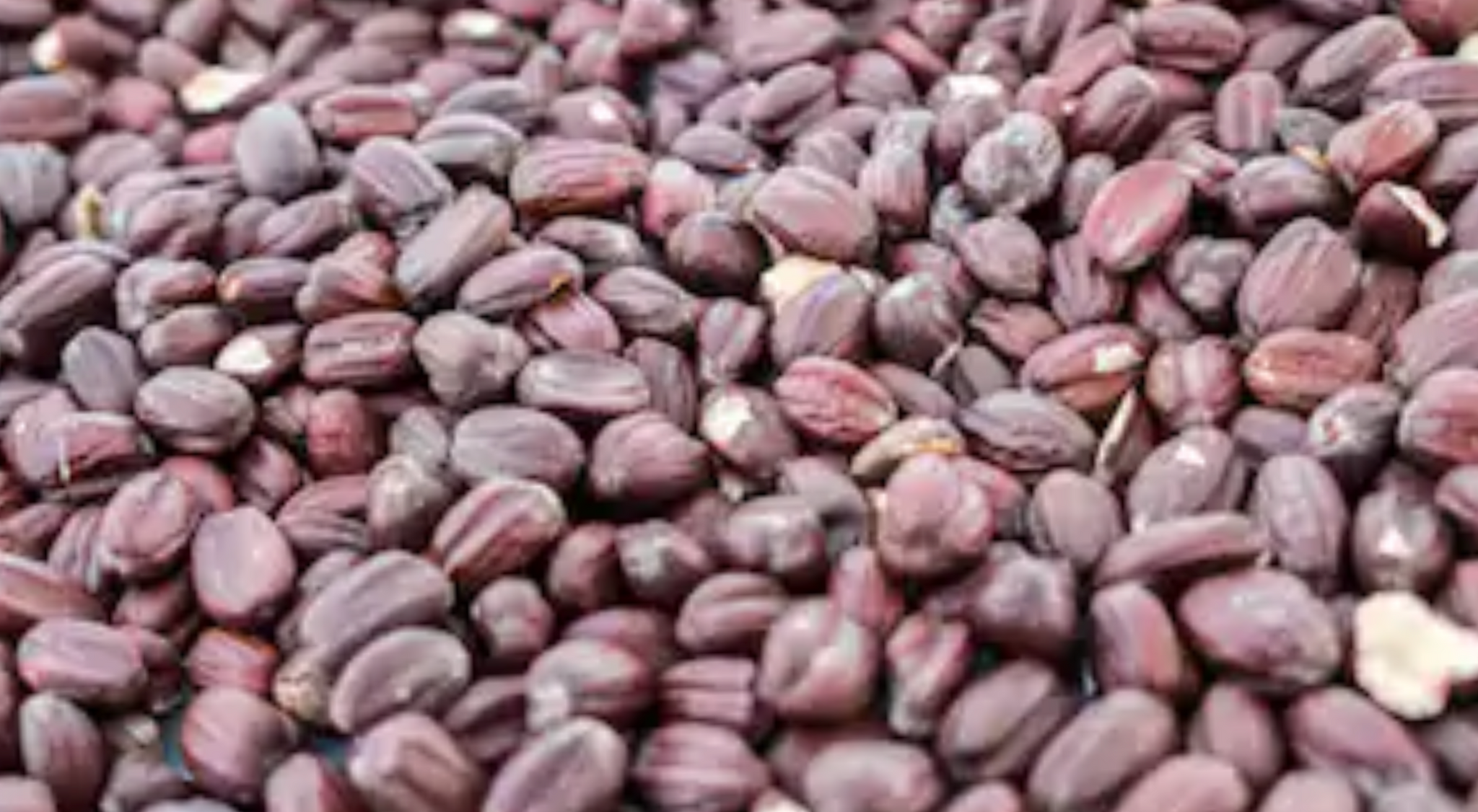 Wat doet Jojoba olie voor de huid?