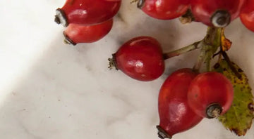 Wat-doet-Rosehip-olie-voor-de-huid Aurora Dionis Dermacosmetics