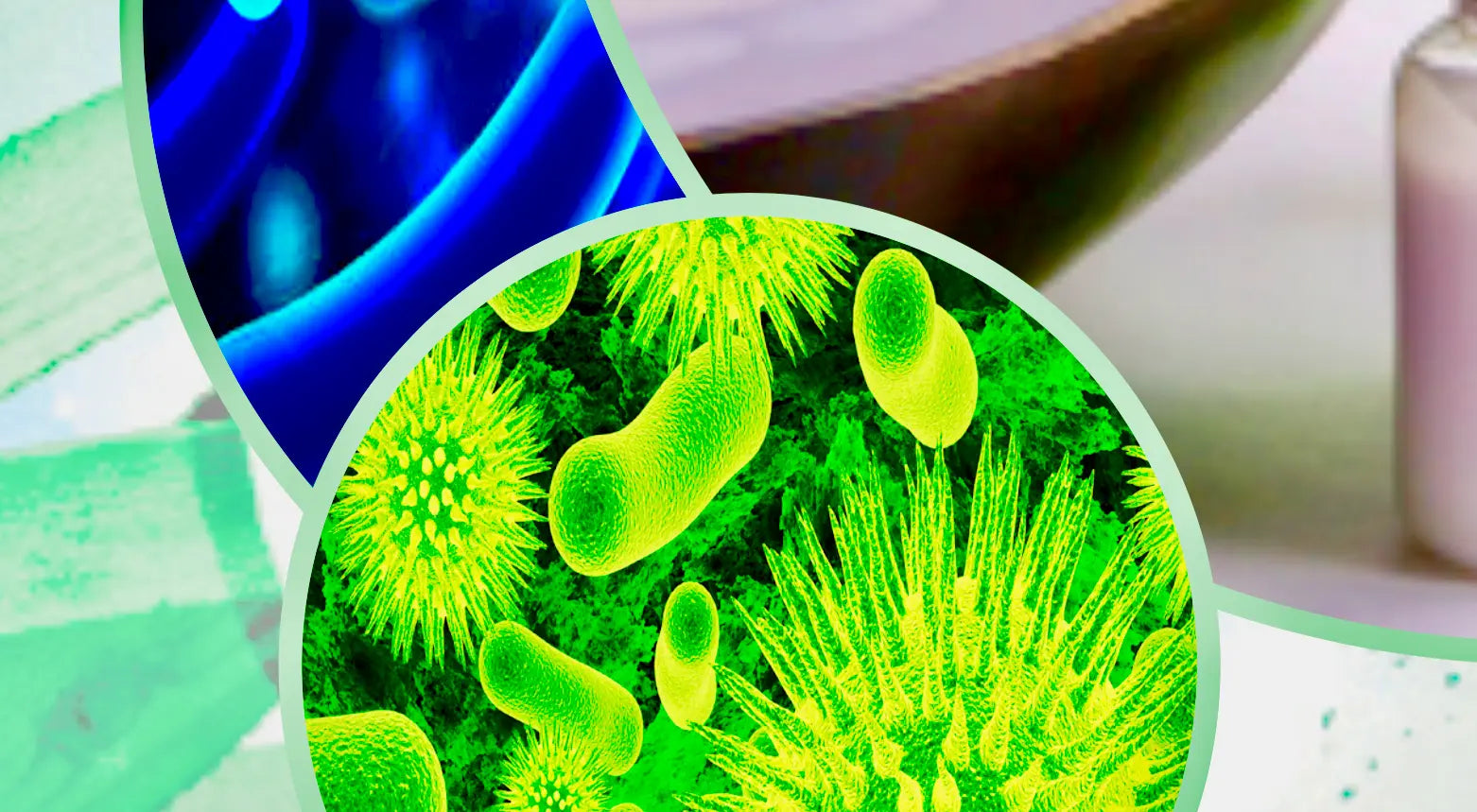 LABORATORIUM-TESTS-VAN-ONZE-WORTEL-EXTRACT Aurora Dionis Dermacosmetics