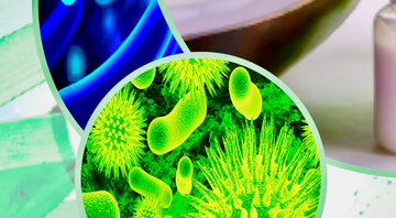 LABORATORIUM-TESTS-VAN-ONZE-WORTEL-EXTRACT Aurora Dionis Dermacosmetics
